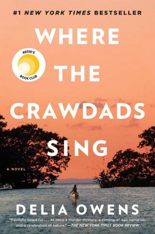 Image of book cover Where the Crawdads Sing. Pink Sky at top and swamp at button.